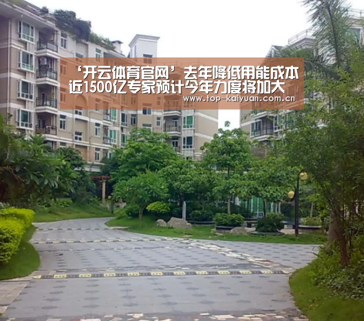 ‘开云体育官网’去年降低用能成本近1500亿专家预计今年力度将加大(图2) 开元体育